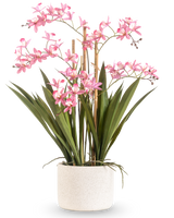 La Plante Artificielle Mini Cymbidium Real Touch 58 cm rose possède de longues feuilles vertes et de multiples tiges de fleurs roses, disposées dans un pot cylindrique blanc structuré, sur un fond blanc uni.