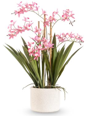 La Plante Artificielle Mini Cymbidium Real Touch 58 cm rose possède de longues feuilles vertes et de multiples tiges de fleurs roses, disposées dans un pot cylindrique blanc structuré, sur un fond blanc uni.