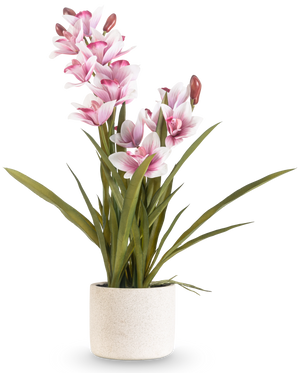 Le Cymbidium artificiel Real Touch 60 cm rose possède de longues feuilles vertes et de multiples orchidées roses et blanches sur de longues tiges, disposées dans un simple pot texturé blanc cassé sur un fond uni.