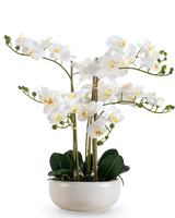 Une orchidée artificielle Real Touch de 50 cm de couleur blanche, avec de multiples fleurs et boutons, élégamment présentée dans un pot blanc assorti.