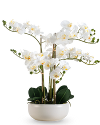 Orchidée artificielle Real Touch 50 cm blanc en pot blanc