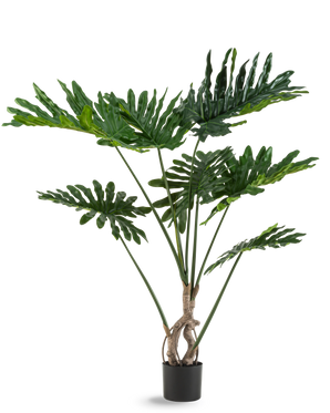 La Plante Artificielle Philodendron 120 cm possède de grandes feuilles vertes brillantes et profondément découpées et plusieurs longues tiges au tronc torsadé, sur un fond uni blanc.