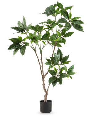 De Kunstplant Schefflera 120 cm heeft meerdere slanke bruine stengels met trossen grote, glanzend groene bladeren in een kleine zwarte pot, tegen een effen witte achtergrond.