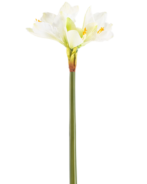 La Fleur Artificielle Amaryllis Real Touch blanche 66 cm possède une haute tige verte avec un certain nombre de grandes fleurs d'Amaryllis blanches au sommet, sur un fond blanc uni.
