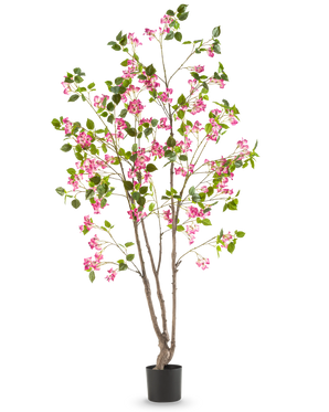 Le Bougainvillier Artificiel 180 cm est une grande plante artificielle avec plusieurs tiges brunes, des feuilles vertes et des fleurs rose vif dans un pot noir, sur un fond blanc uni.