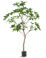 La Plante Artificielle Schefflera 180 cm est un grand arbre artificiel avec des feuilles vertes et un tronc mince marron dans un pot noir, représenté sur un fond blanc uni.