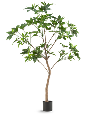 La Plante Artificielle Schefflera 180 cm est un grand arbre artificiel avec des feuilles vertes et un tronc mince marron dans un pot noir, représenté sur un fond blanc uni.
