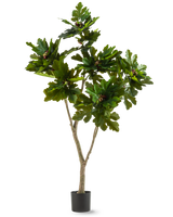 La Plante Artificielle Ficus Carica Figuier 180 cm est une plante artificielle en pot avec de larges feuilles vertes brillantes et de petits fruits bruns, ressemblant à un figuier, sur fond blanc.