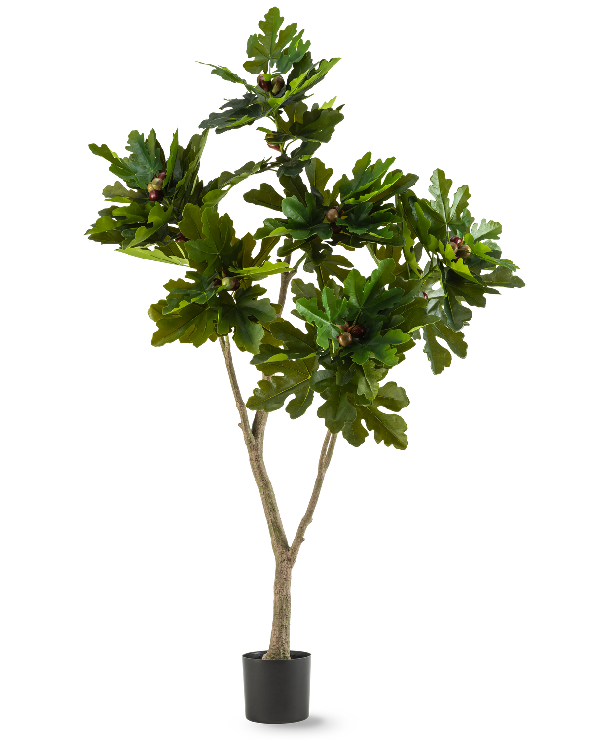 La Plante Artificielle Ficus Carica Figuier 180 cm est une plante artificielle en pot avec de larges feuilles vertes brillantes et de petits fruits bruns, ressemblant à un figuier, sur fond blanc.
