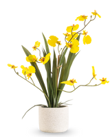 L'Oncidium artificiel Real Touch 48 cm jaune a des feuilles longues et minces et de longues tiges avec des orchidées jaune vif dans un pot blanc, sur un fond blanc uni.