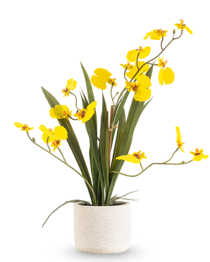 L'Oncidium artificiel Real Touch 48 cm jaune a des feuilles longues et minces et de longues tiges avec des orchidées jaune vif dans un pot blanc, sur un fond blanc uni.