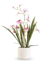 L'Oncidium artificiel Real Touch 48 cm rose présente une grande orchidée avec de longues feuilles vertes et de délicates fleurs roses sur des tiges courbées, dans un pot blanc texturé sur un fond blanc uni.