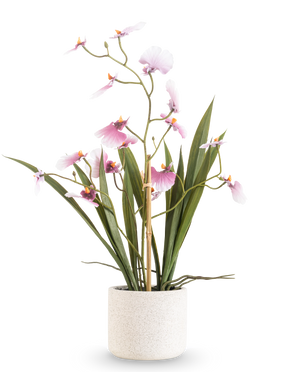 L'Oncidium artificiel Real Touch 48 cm rose présente une grande orchidée avec de longues feuilles vertes et de délicates fleurs roses sur des tiges courbées, dans un pot blanc texturé sur un fond blanc uni.