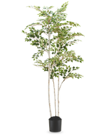 Le Bouleau Artificiel "Silver" 180 cm est un grand bouleau artificiel aux feuilles colorées dans un simple pot noir, sur un fond blanc uni.