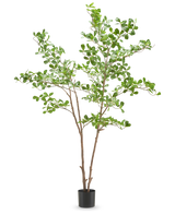 De Kunstplant Terminalia Catappa 180 cm heeft slanke bruine takken met trosjes kleine, ronde groene bladeren in een eenvoudige zwarte pot, tegen een witte achtergrond.
