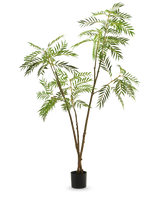 La plante artificielle Mahonia 210 cm est une grande plante artificielle en pot avec de fines tiges brunes et de longues feuilles vertes étroites, représentées sur un fond blanc uni.