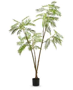 La plante artificielle Mahonia 210 cm est une grande plante artificielle en pot avec de fines tiges brunes et de longues feuilles vertes étroites, représentées sur un fond blanc uni.
