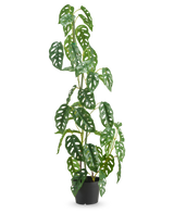 La Plante Artificielle Monstera 90 cm vert est une grande plante artificielle verte aux feuilles ovales percées de multiples trous, présentée dans un pot sur un fond blanc uni.