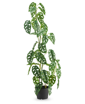 La Plante Artificielle Monstera 90 cm vert est une grande plante artificielle verte aux feuilles ovales percées de multiples trous, présentée dans un pot sur un fond blanc uni.