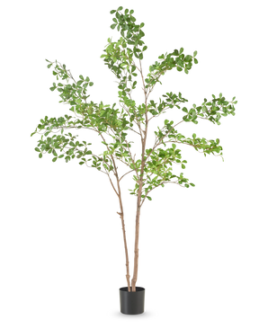 De Kunstplant Terminalia Catappa 150 cm is een hoge kunstboom met slanke bruine takken en groene bladeren in een eenvoudige zwarte pot, tegen een effen witte achtergrond.