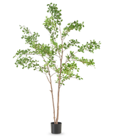 De Kunstplant Terminalia Catappa 210 cm heeft dunne bruine stammen en weelderige groene bladeren, in een eenvoudige zwarte pot tegen een effen witte achtergrond.