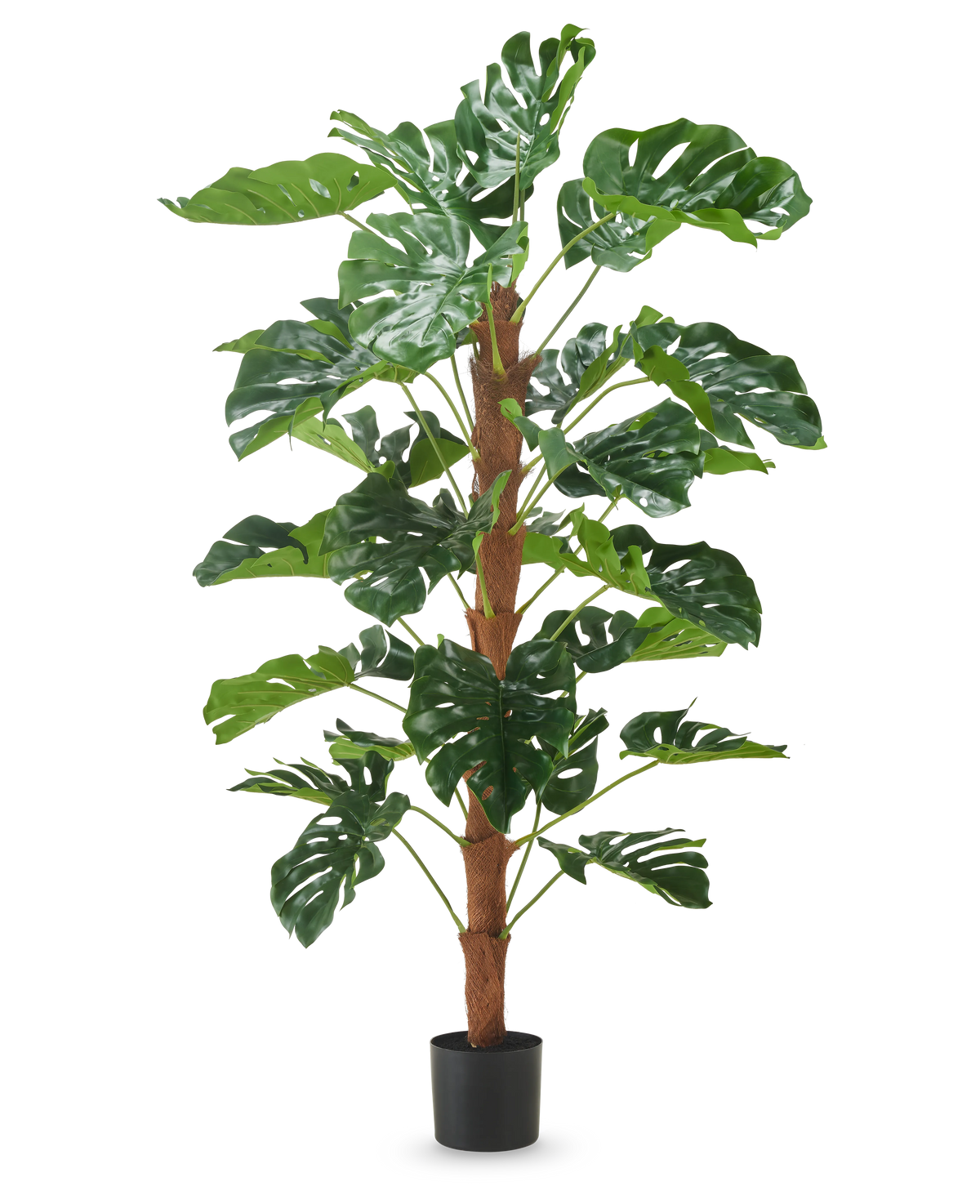 La Plante Artificielle Monstera 150 cm est une grande plante artificielle aux grandes feuilles vertes fendues, présentée dans un petit pot noir sur fond blanc uni.