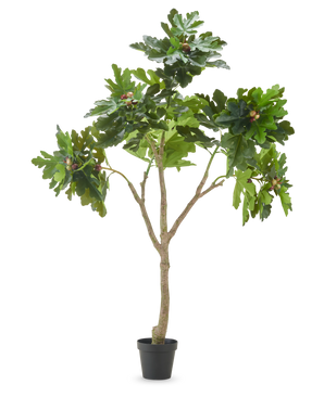 Le figuier artificiel Ficus Carica de 210 cm a de multiples branches, des feuilles vertes luxuriantes et plusieurs figues non mûres sur un fond blanc uni.