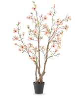 La Plante Artificielle Magnolia 220 cm est un magnolia artificiel en pot avec plusieurs branches marron, des fleurs rose clair et des feuilles vertes dans un simple pot noir sur fond blanc.