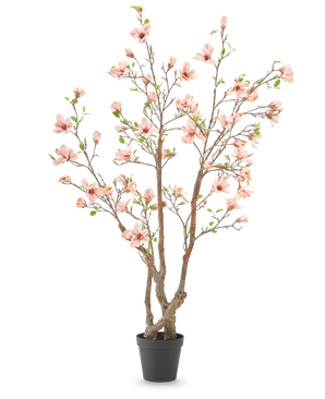 La Plante Artificielle Magnolia 220 cm est un magnolia artificiel en pot avec plusieurs branches marron, des fleurs rose clair et des feuilles vertes dans un simple pot noir sur fond blanc.