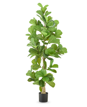 Le Plant de Tabac Artificiel 210 cm est un grand plant de tabac artificiel aux larges feuilles vertes brillantes dans un pot noir, isolé sur fond blanc.