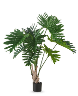 La Plante Artificielle Philodendron 150 cm possède de grandes feuilles vertes brillantes et profondément lobées sur de longues tiges, sur un fond blanc uni.