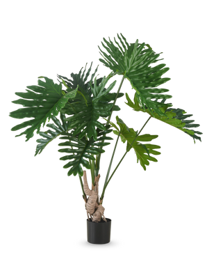 La Plante Artificielle Philodendron 150 cm possède de grandes feuilles vertes brillantes et profondément lobées sur de longues tiges, sur un fond blanc uni.