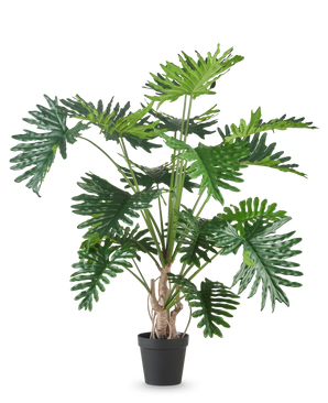 La plante artificielle Philodendron 180 cm possède de grandes feuilles vertes brillantes et profondément lobées et est représentée sur un fond blanc uni.