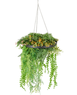 La fougère artificielle suspendue UV 40 cm en anneau noir contient des plantes artificielles vertes et jaunes luxuriantes et des vignes sinueuses dans une plante suspendue noire avec des chaînes argentées, sur un fond blanc.