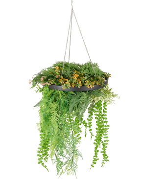 La fougère artificielle suspendue UV 40 cm en anneau noir contient des plantes artificielles vertes et jaunes luxuriantes et des vignes sinueuses dans une plante suspendue noire avec des chaînes argentées, sur un fond blanc.