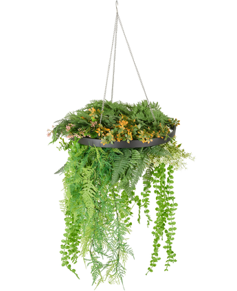 La fougère artificielle suspendue UV 40 cm en anneau noir contient des plantes artificielles vertes et jaunes luxuriantes et des vignes sinueuses dans une plante suspendue noire avec des chaînes argentées, sur un fond blanc.