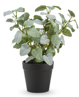 La Pumila artificielle "Silver" en pot UV 25 cm présente des feuilles artificielles vertes de forme ovale dans un simple pot en plastique noir, sur un fond uni blanc.