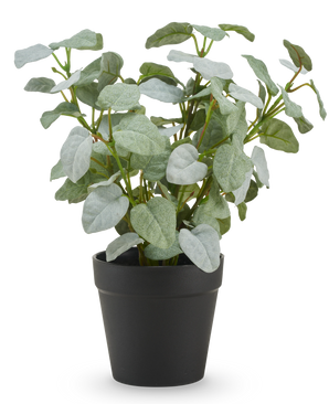 La Pumila artificielle "Silver" en pot UV 25 cm présente des feuilles artificielles vertes de forme ovale dans un simple pot en plastique noir, sur un fond uni blanc.