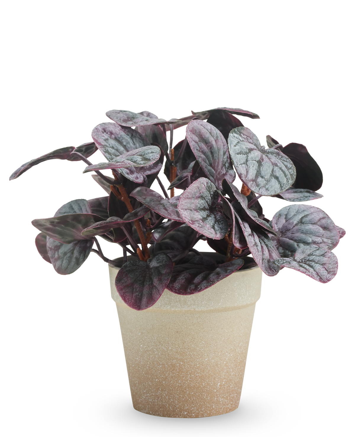 La Feuille Rugose artificielle 21 cm grise a des feuilles panachées de violet foncé et de vert dans un pot marron clair avec structure, présentées sur un fond blanc uni.