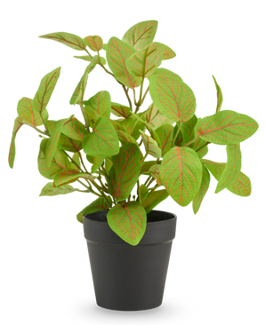 Plante artificielle Fittonia en pot 25 cm UV