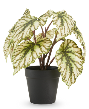 Plante artificielle Bégonia en pot vert 25 cm UV