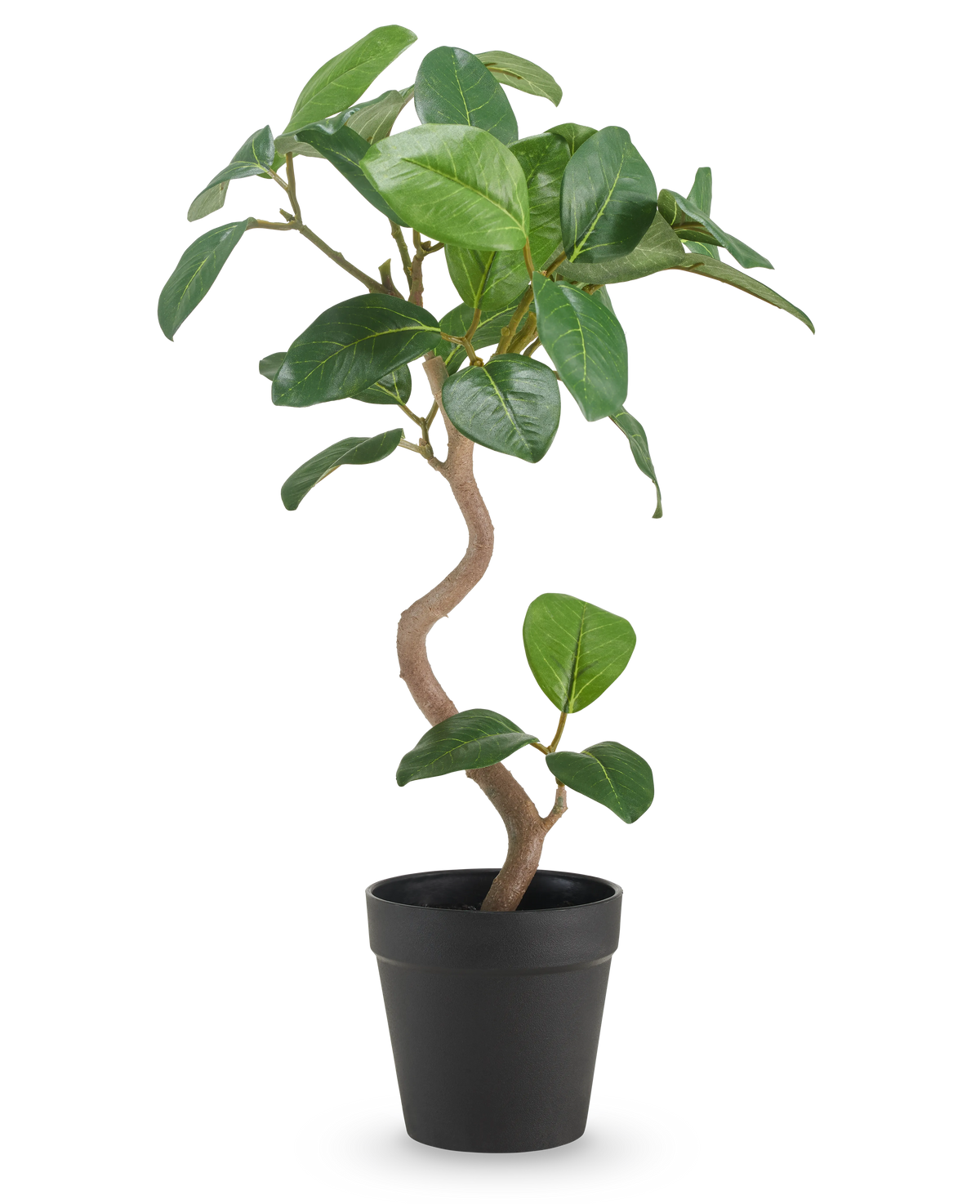 Le Ficus Elastica artificiel de 42 cm possède un tronc torsadé et de larges feuilles vertes brillantes, présentées dans un simple pot noir sur un fond blanc uni.