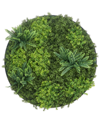 Cadre vegetal artificiel Ø100 cm Mousse Cadre noir UV