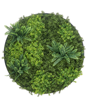 Cadre vegetal artificiel Ø100 cm Mousse Cadre noir UV