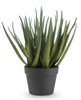 La plante d'aloès artificielle de 46 cm a de longues feuilles vertes pointues et est présentée dans un simple pot gris foncé, sur un fond blanc uni.