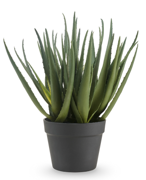 La plante d'aloès artificielle de 46 cm a de longues feuilles vertes pointues et est présentée dans un simple pot gris foncé, sur un fond blanc uni.