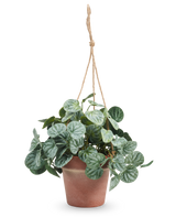 La feuille rugueuse artificielle de 29 cm grise en pot suspendu a des feuilles vertes rondes à motifs et est suspendue dans un pot sur une corde beige sur un fond blanc uni.