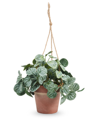 Plante artificielle Rugose leaf 29 cm gris dans pot suspendu