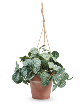 La feuille rugueuse artificielle de 29 cm grise en pot suspendu a des feuilles vertes rondes à motifs et est suspendue dans un pot sur une corde beige sur un fond blanc uni.