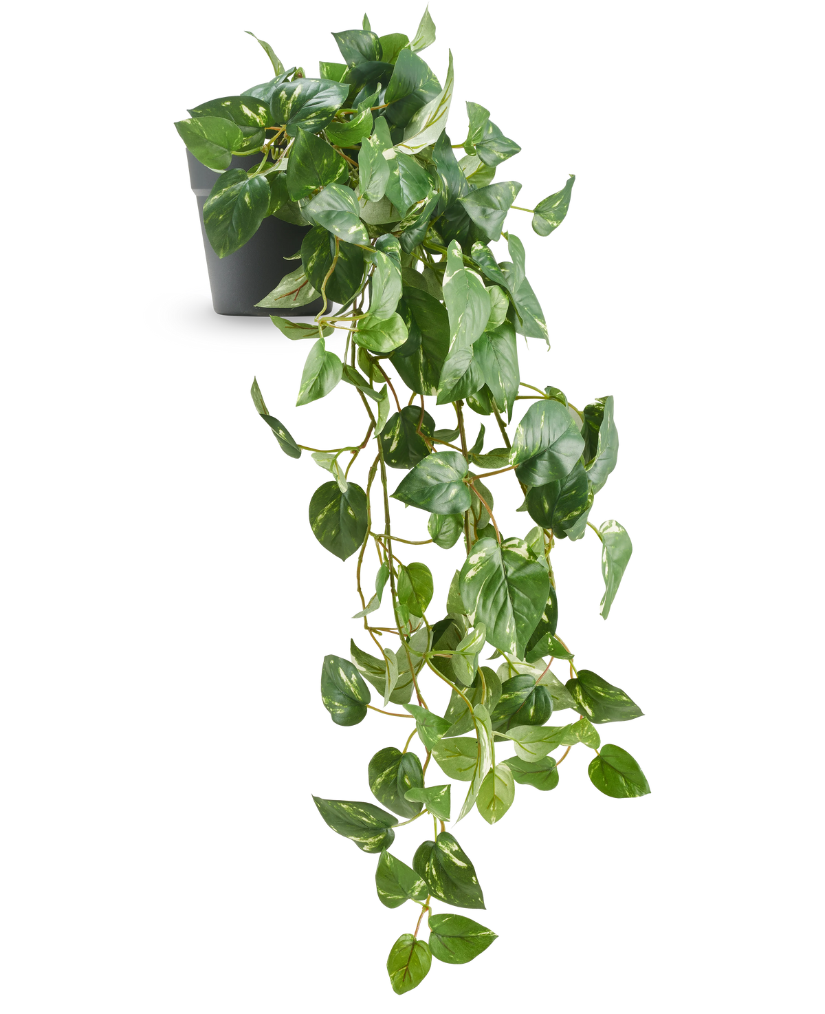 La Vigne dorée suspendue artificielle en pot 80 cm UV a des feuilles brillantes en forme de cœur et de longues vrilles sinueuses émergeant d'un pot gris foncé, ce qui en fait une pièce décorative élégante.